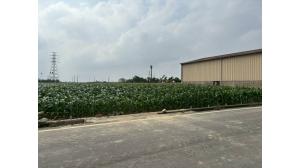 台灣吉屋網 - 嘉義農地。義竹農地