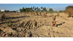 台灣吉屋網 - 新市陽明山莊3分7多農地