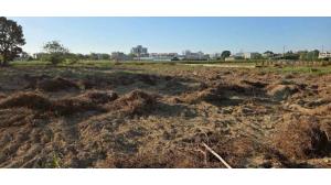 台灣吉屋網 - 新市陽明山莊888坪農地