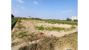 台灣吉屋網 - (專)穀倉餐廳大路旁農地